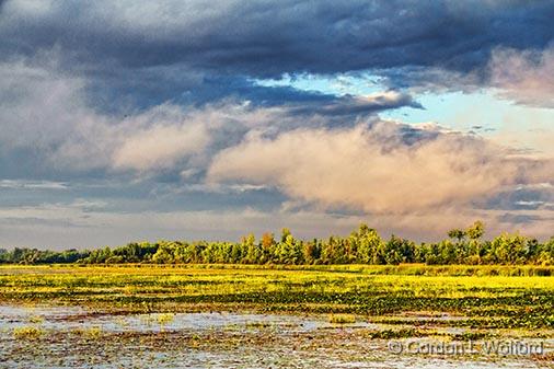 Irish Creek_25626.jpg - Photographed near Kilmarnock, Ontario, Canada.